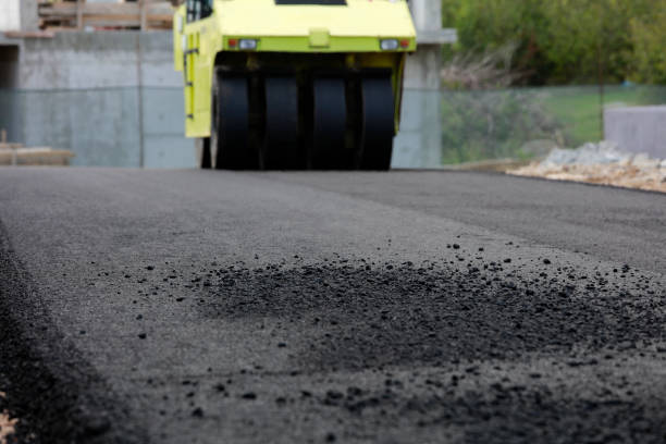 Best Professional Driveway Pavers  in Valley Hill, NC