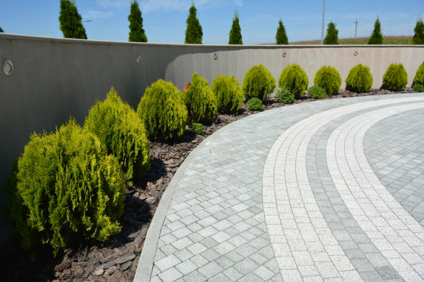 Best Driveway Paving Company  in Valley Hill, NC